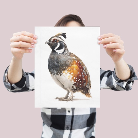 Watercolor Quail Wall Art Print, Unframed - Vibrant Nature-Inspired Home Decor - Picture 4 of 6